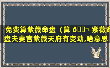 免费算紫薇命盘（算 🐬 紫薇命盘夫妻宫紫薇天府有变动,啥意思）